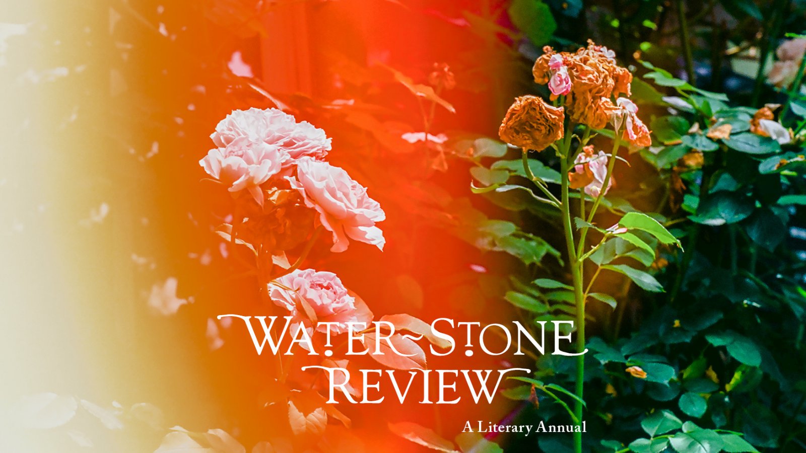 WSR Shop WaterStone Review